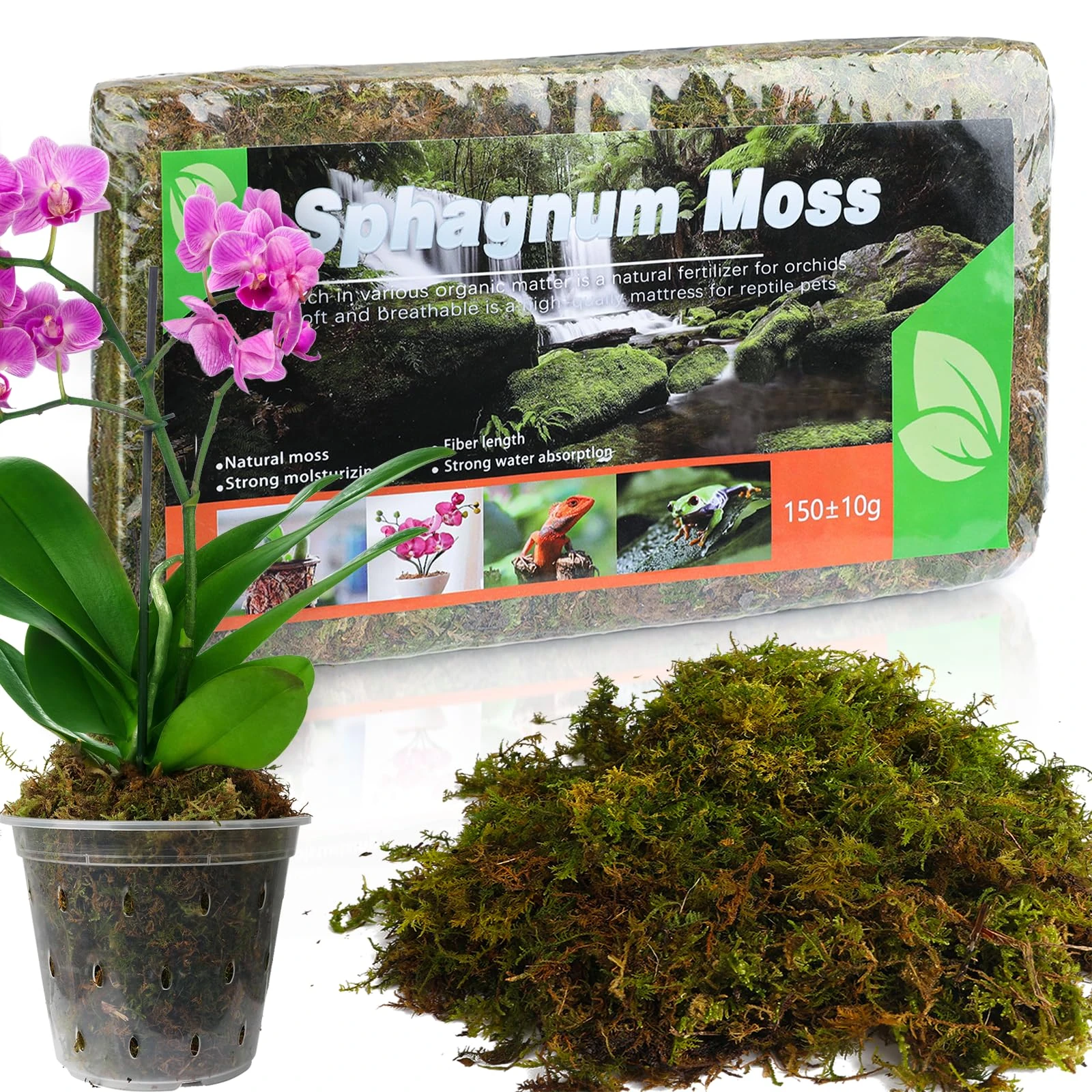 GOTVUGE Sphagnum Moss for Plants (5L / 1pc), Suitable for Various Plants, Including Orchids, Carnivorous, Succulents, Garden Flowers, and Reptiles