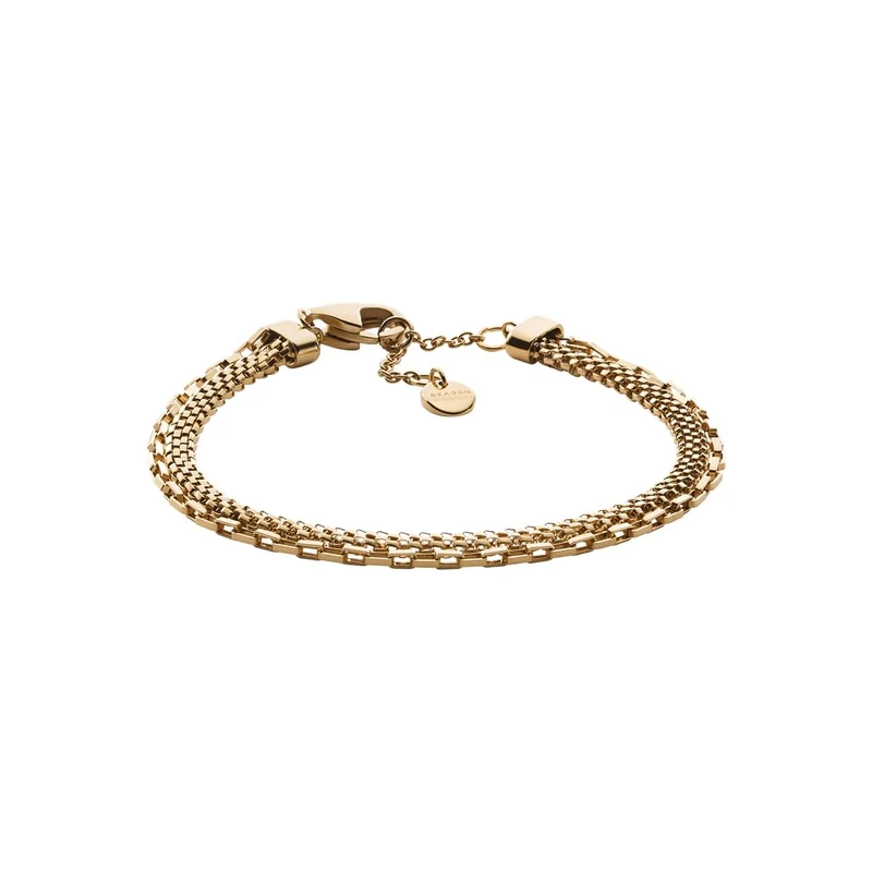 Skagen Women's Stainless Steel and Semi precious or brass with lobster clasp closure bracelet