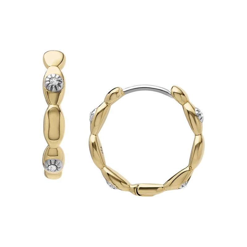 Fossil Women's Gold tone stainless Steel with hoop closure Earrings