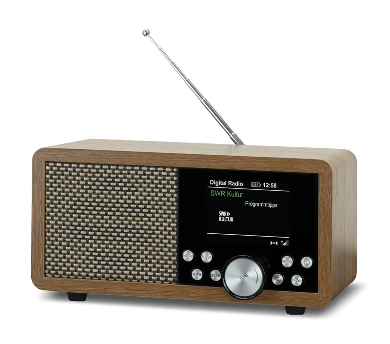 Dab+ Dynavox DBT600 Portable Radio, Built-in FM Radio, for Kitchen, Bathroom, Office, Alarm Clock, TFT Display, Power Bank or Battery, USB Plug and SD Card, Wood Effect Finish