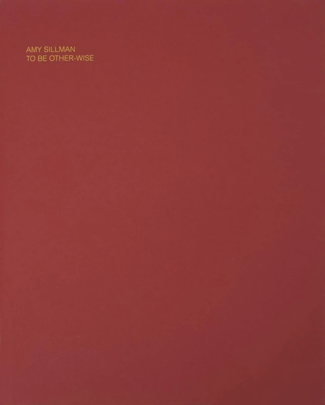 Amy Sillman: To Be Other-Wise - Image 1