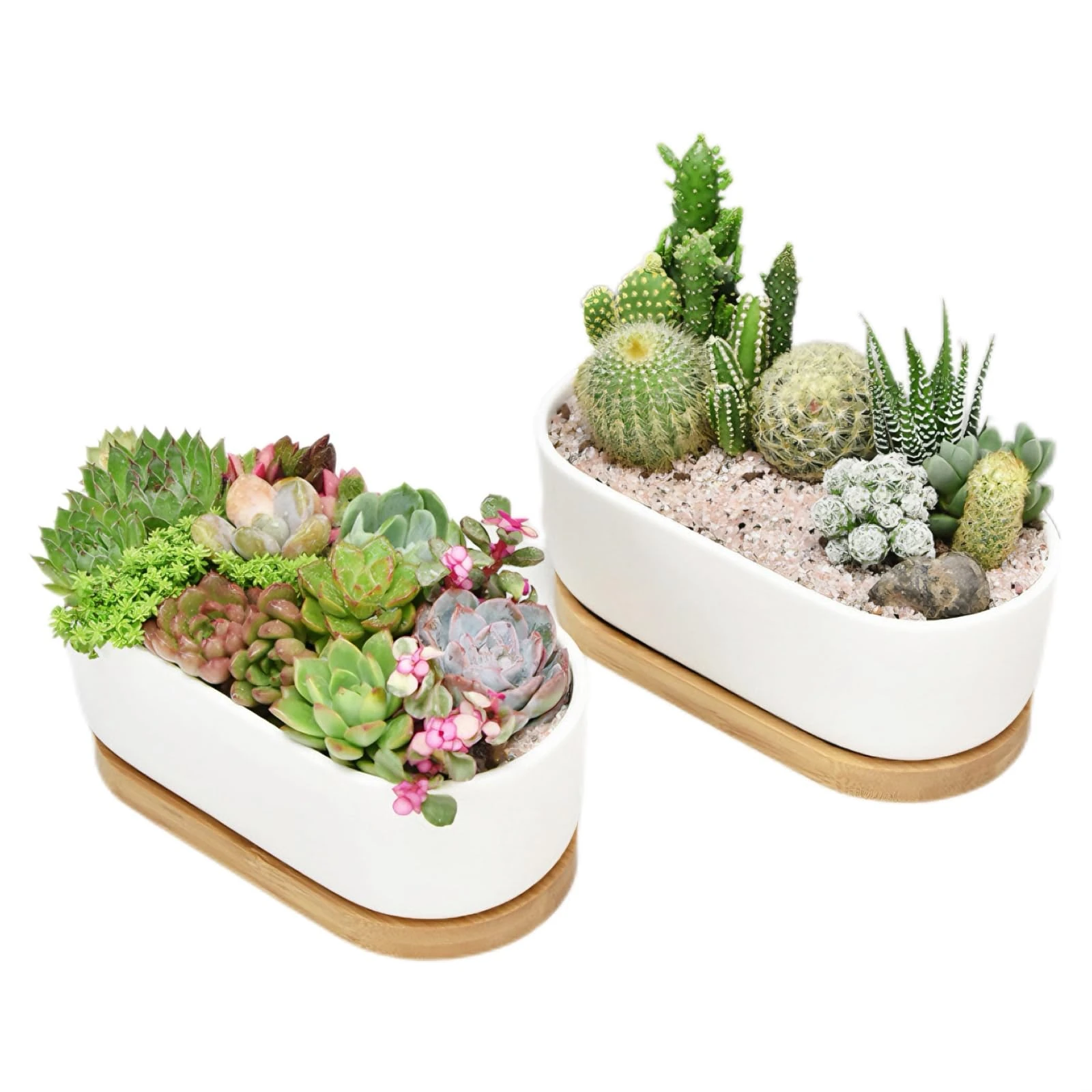 Irunfast 2Pcs White Ceramic Succulent Plant Pot, Cactus Pot With Bamboo Tray, Indoor Outdoor Cactus Pots, Oval Small Plant Pots for Office Hotel Home Decoration