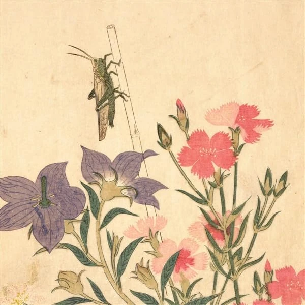 Entomongaku II [VINYL]