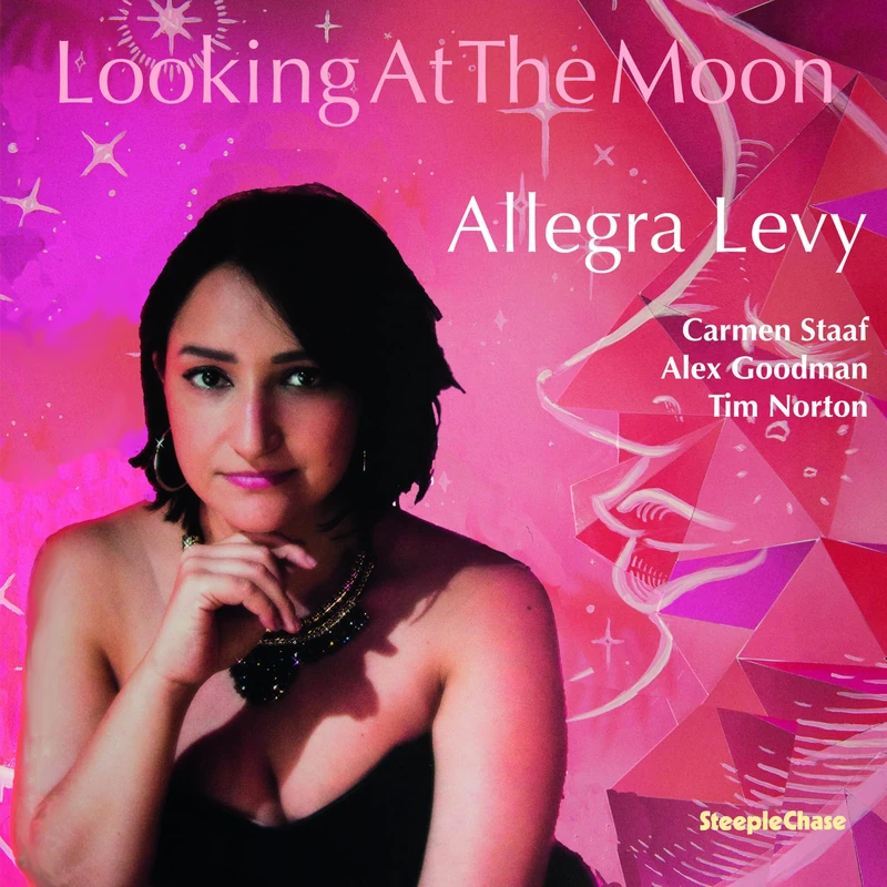 Looking At The Moon [VINYL]