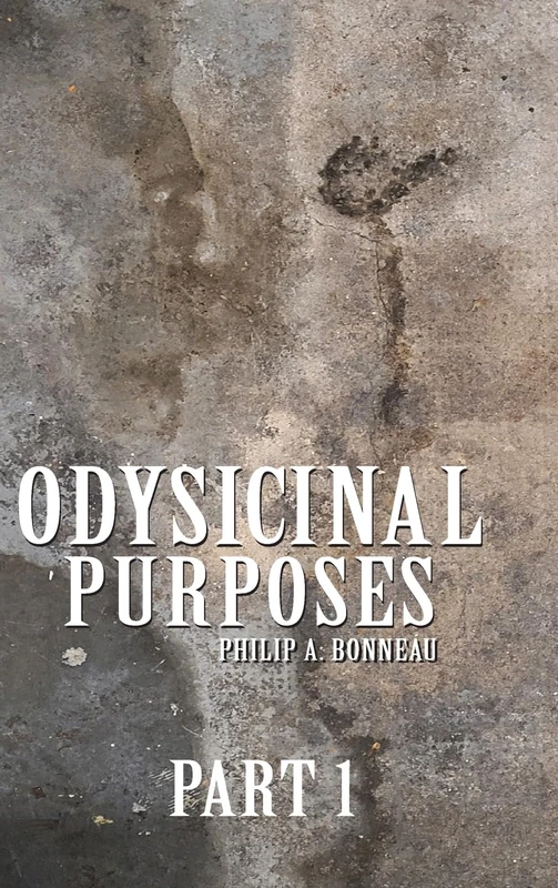Odysicinal Purposes (Part 1) - Architecture Book by Blurb