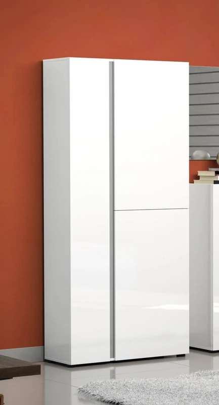 Dmora Kinshasa Shoe Rack, Multi-Purpose Entrance Cabinet, Shoe Cabinet, Made in Italy, 91 x 33 x 196 cm, Glossy White, Glossy White, Anthracite