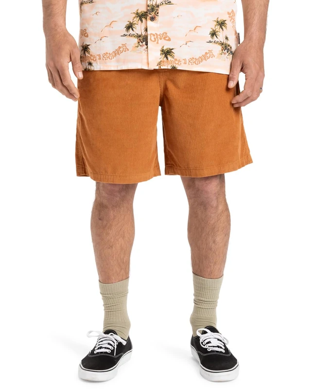 Quiksilver Taxer 18" - Corduroy Walkshorts for Men - Corduroy Walkshorts - Men - Brown
