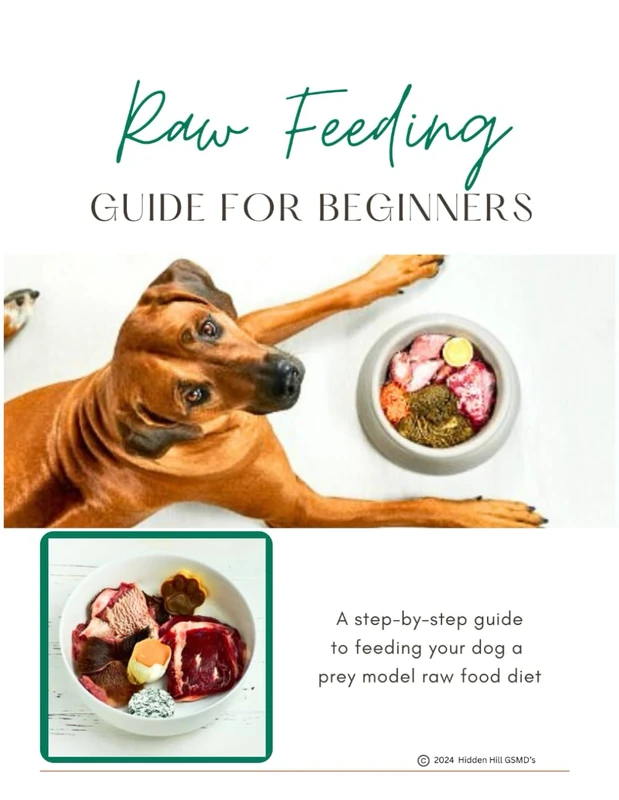 Raw Feeding Guide For Beginners: Raw feeding guide for dogs