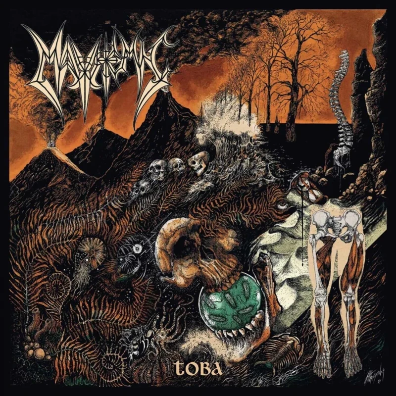 Toba [VINYL]