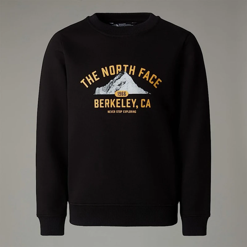 The North Face Kids Varsity Graphic Relaxed Crew Sweatshirt, Tnf Black, 14 Years