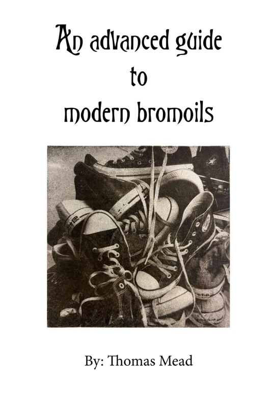 An advanced guide to modern bromoils (Alternative Photography Process Series.)