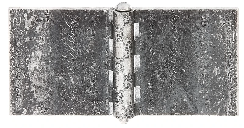 Alberts 860240 Scharnier Hinge, Silver