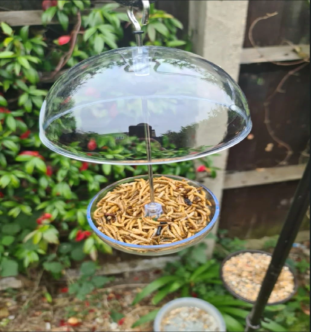 Unibos | Clear Hanging Bird Feeders for Small Birds, Attracts Small Garden Birds, Hanging Bird Seed Feeder Perfect for Seed Mixes and Mealworms, with Drainage Holes