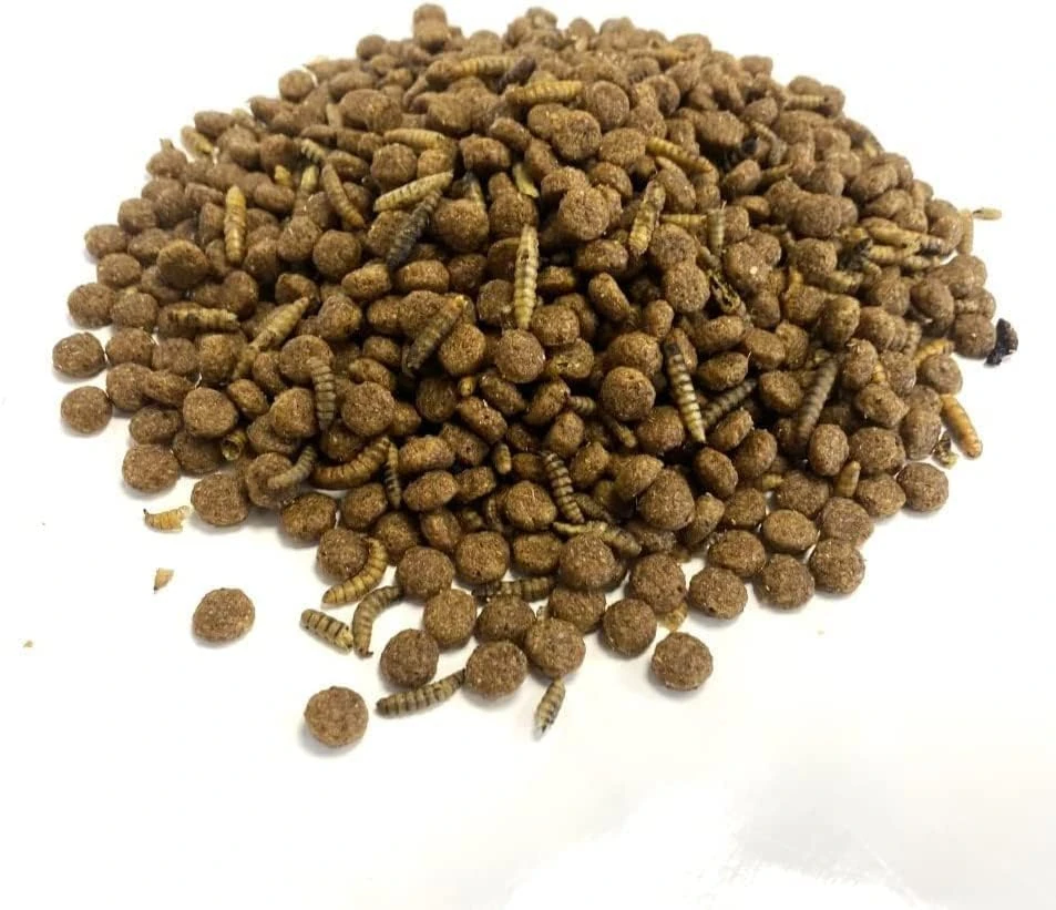 Hedgehog Food With Calciworms 750g Premium Complete Food MDW