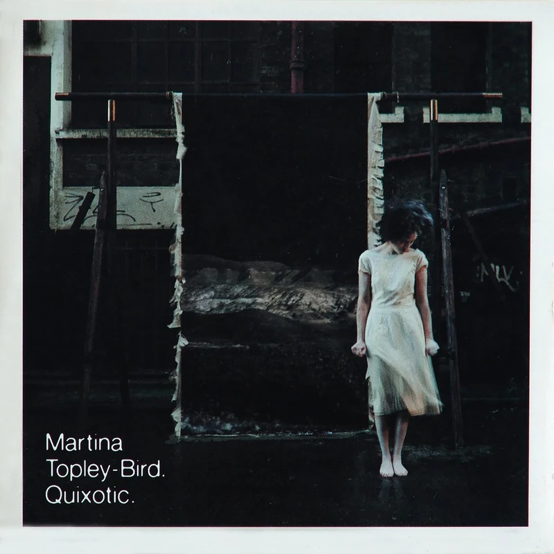 Quixotic [VINYL] - Image 1