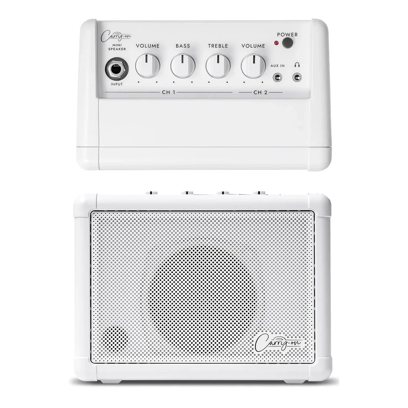 Mini Speaker - Amplifier for Electronic Guitars and Drums, Keyboards, Digital Wind Instruments and Microphones - Portable Speaker with Dual Input Channels & Expandable Stereo Option