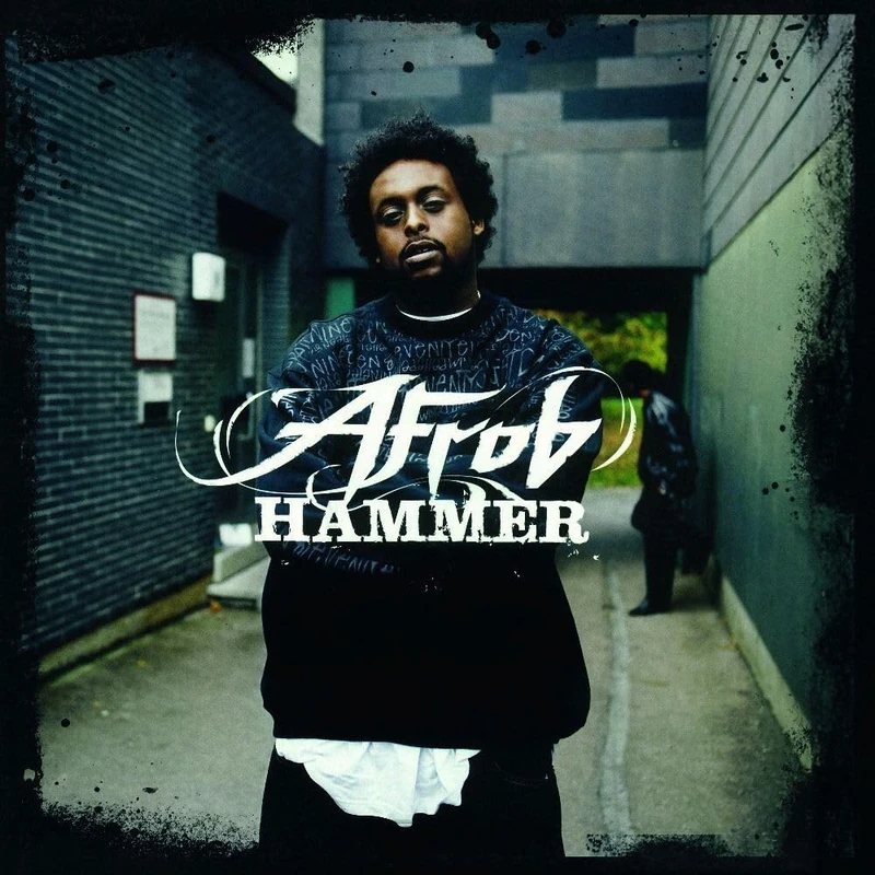 Hammer (2lp Gatefold) [VINYL]