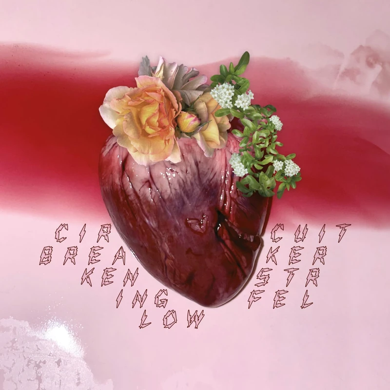 Circuit Breaker [VINYL]