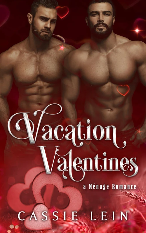 Vacation Valentines - LGBTQ+ Gay Romance Book