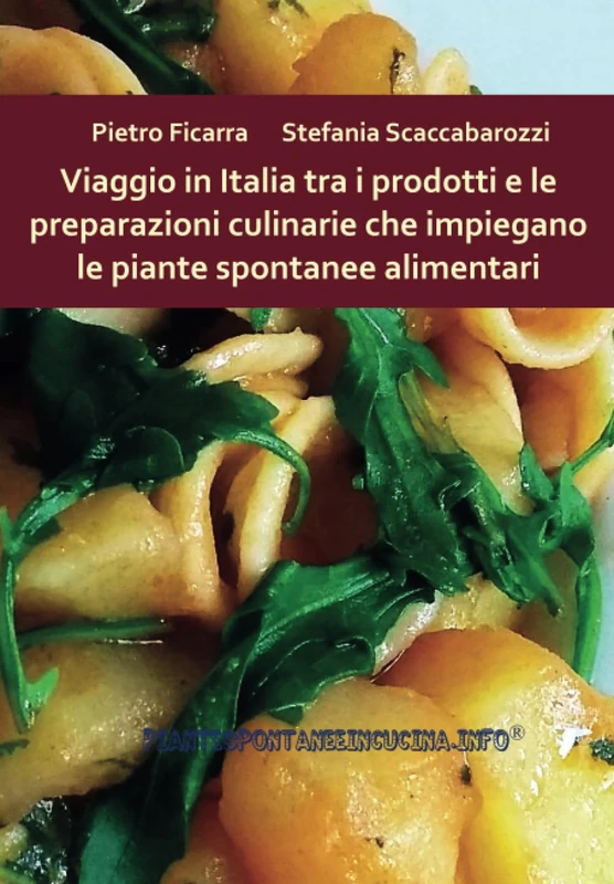Viaggio in Italia tra i prodotti e le preparazioni culinarie che impiegano le piante spontanee alimentari