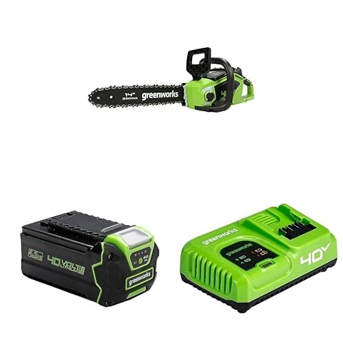 Greenworks Cordless 40V 35cm Chainsaw with Brushless Motor + Greenworks 40V 4Ah Battery 2 Pieces + Greenworks 40V 5A Rapid Charger
