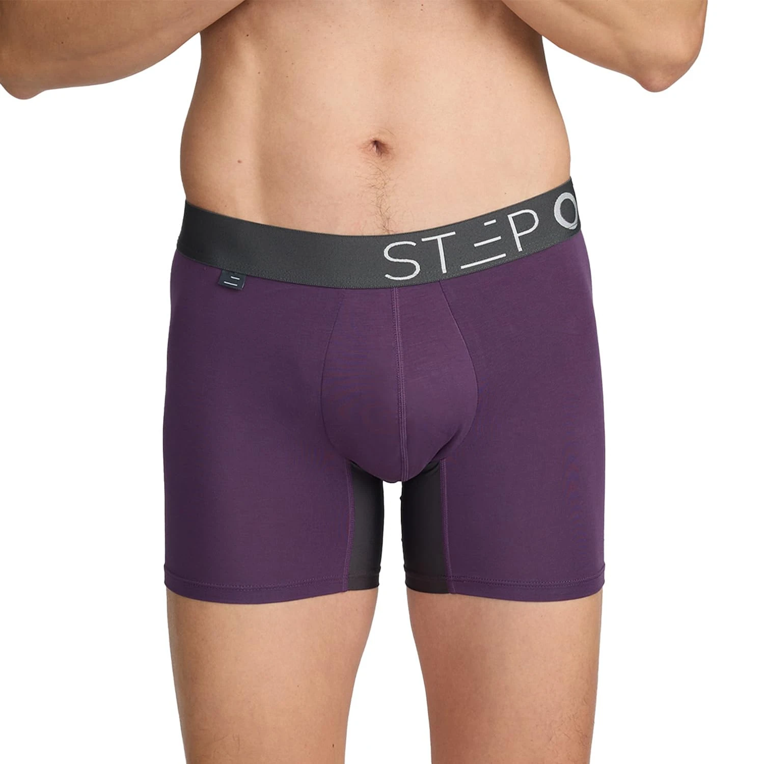 STEP ONE Mens Underwear Trunk Briefs, 1 Pair, Underwear for Men, Moisture Wicking, 3D Pouch + No Ride Up Trunk Briefs Made from Organic Bamboo Purple and Grey L