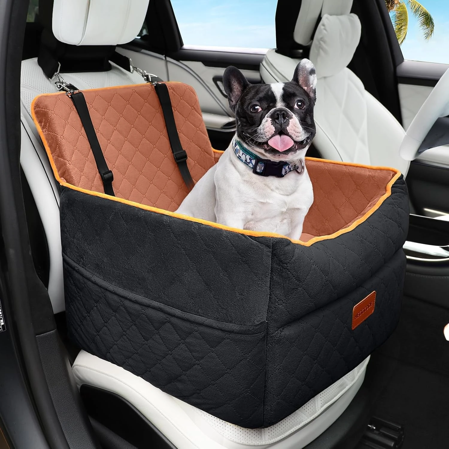 HEGGCOOE Small Dog Car Seat, Memory Foam Dog Booster Seats with Thick Cushion for Medium Dogs Under 35lbs, Detachable Washable Pet Car Seat with Storage Pockets,2 Safety Belts-Black/Z