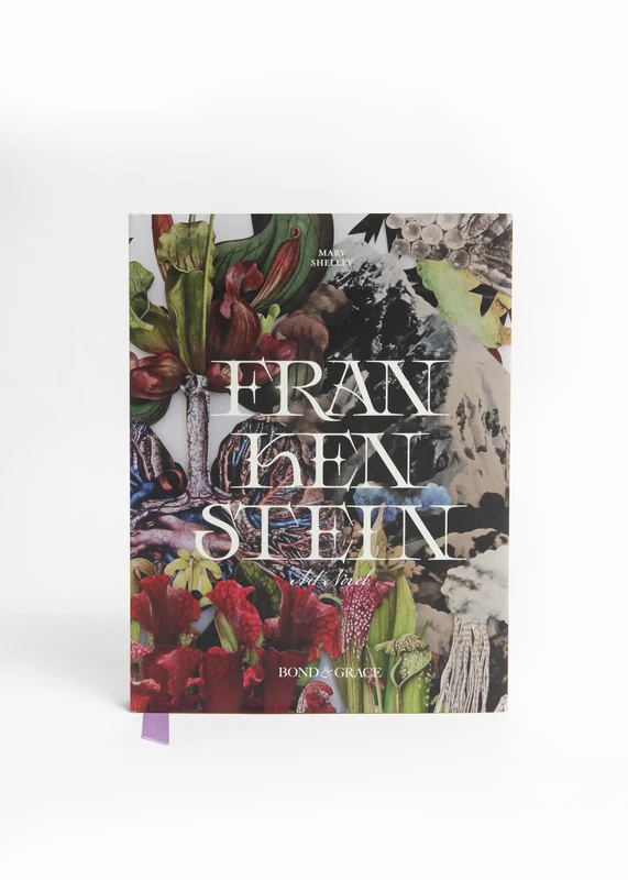 Frankenstein Art Novel - Image 1