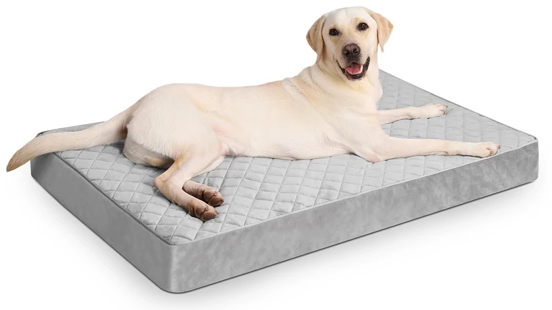 NUPIDA Orthopedic Dog Bed for Extra Large Dogs, Waterproof with Removable Washable Cover, Non-Slip Bottom, Quilting, 47x29 Inch, Light Gray