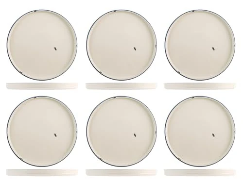 H&H Set of 6 rye Plates cm20xh2