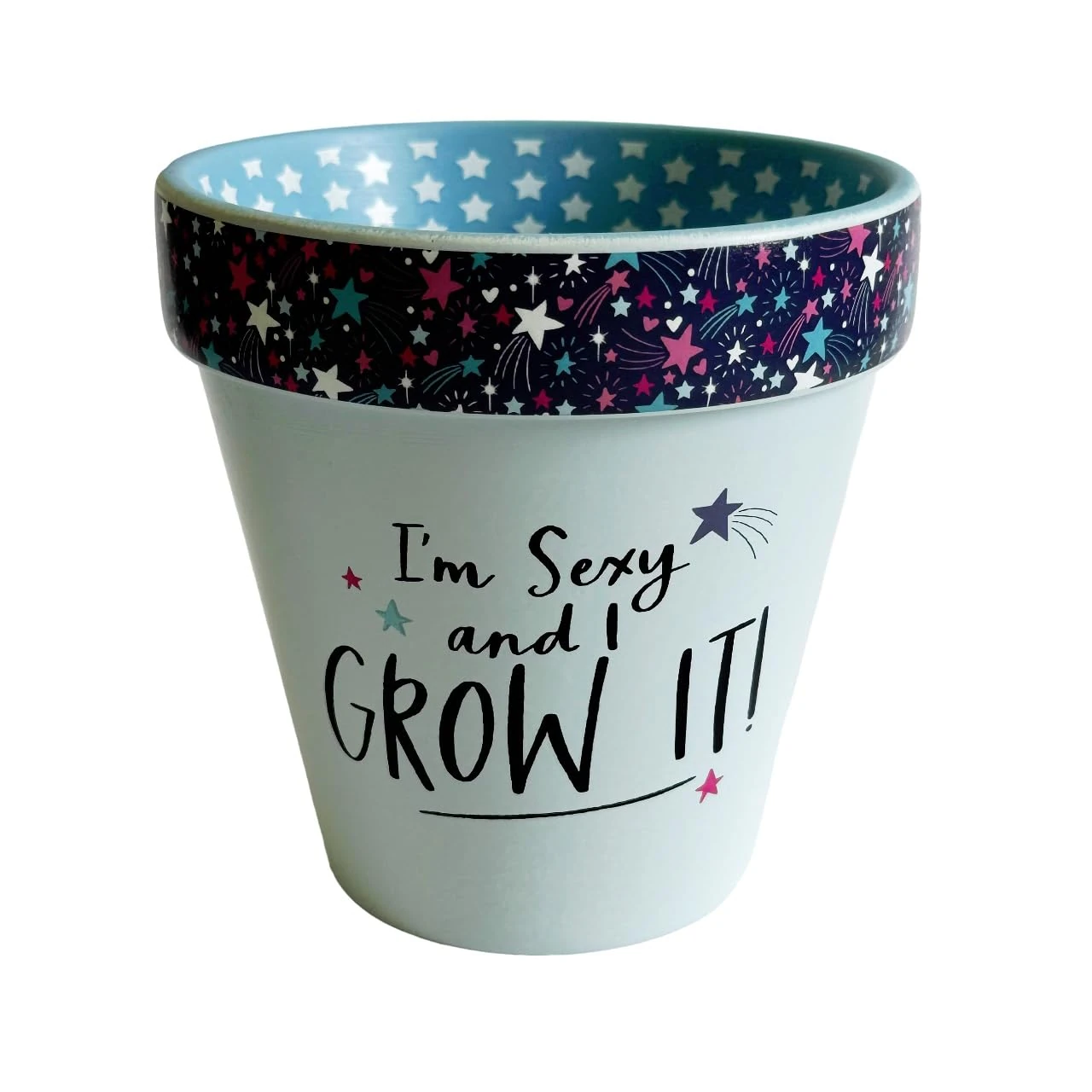 WPL Gifts Love Plants Small Flower Planter Pots - Fun Quotes & Humour in Pastel Colours - with Optional Coaster Add On - Perfect Floral Home Decor (I'm Sexy And I Grow It)