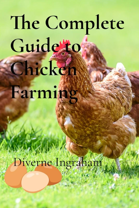 The Complete Guide to Chicken Farming: From Egg to Table