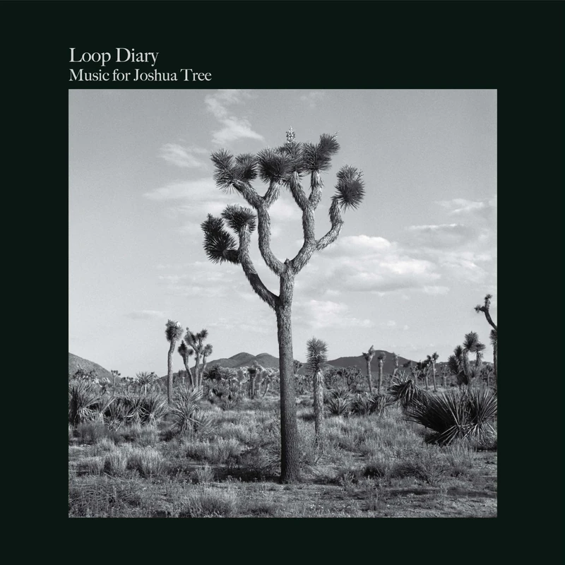 Music For Joshua Tree [Vinyl LP] [VINYL]