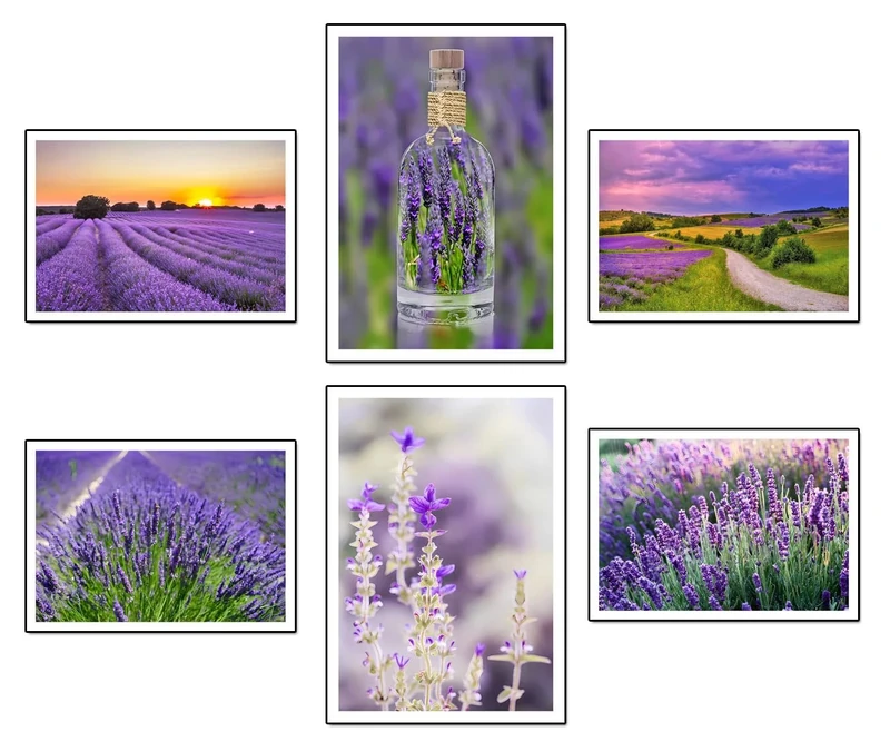 DKORARTE Set of 6 Wooden Base Paintings, Living Room Decoration, Modern, Bedrooms, Room, Landscape, Nature, Lavender Fields Brihuega with Metal Hangers, (38 x 29 cm Each Frame)