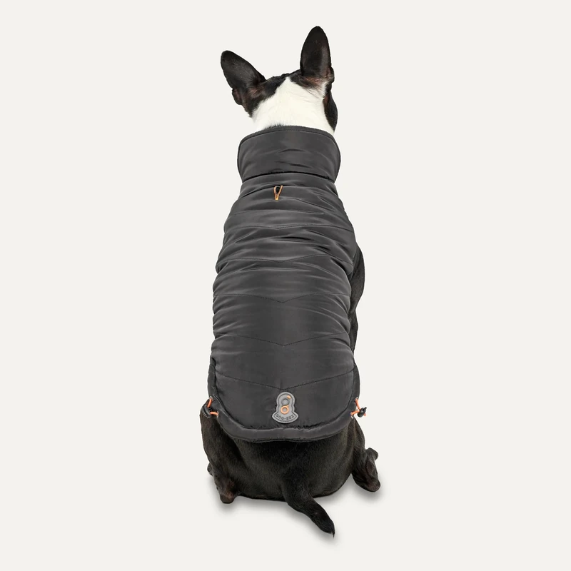 Mock Neck Signature Jacket for Dogs (Black, XL)