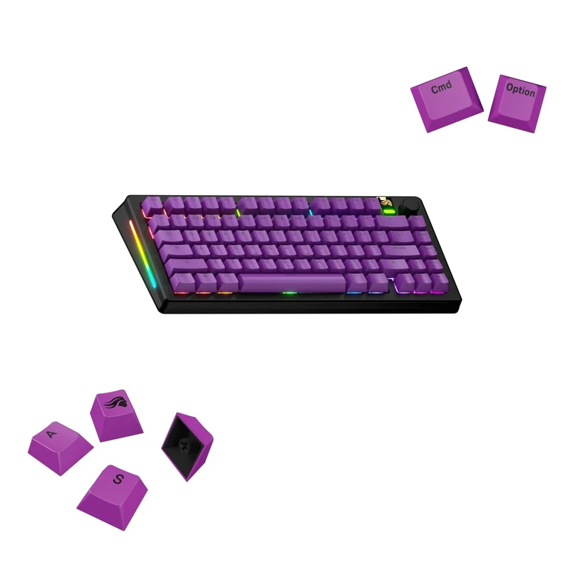 Glorious Gaming - GPBT Basics (Epic Purple PBT Keycaps), 8 Colours, Colourfast Sublimation Printing, for Mechanical Keyboards of Sizes 100%, 75%, 65%, 60% and - American QWERTY Assignment