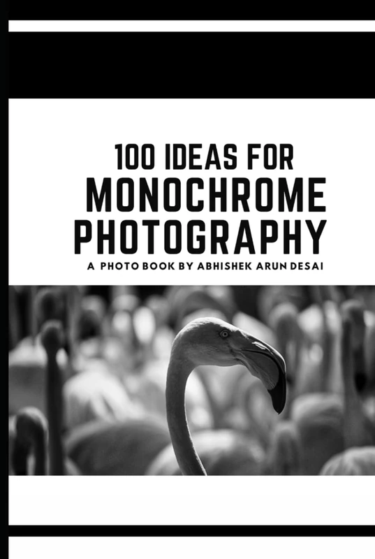 100 IDEAS FOR MONOCHROME PHOTOGRAPHY: A picture book by Abhishek Arun Desai