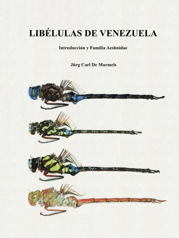 LIBÉLULAS DE VENEZUELA: Introducción y Familia Aeshnidae - Image 1