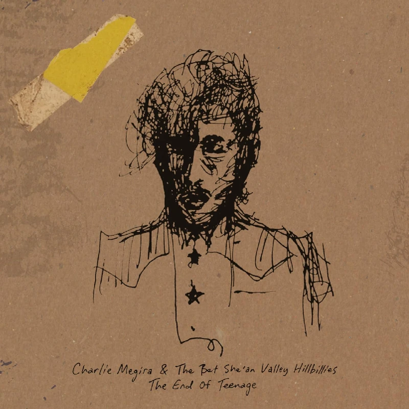 End of Teenage [VINYL]