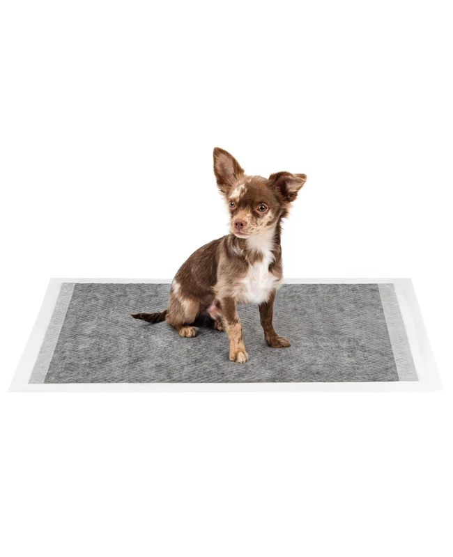 lionto Activated carbon puppy pads, 6-ply training pads for dogs with adhesive strips, 60x90 cm, 100 pieces, leak-proof & robust, high absorbency for sick & incontinent animals, black/white - Image 1