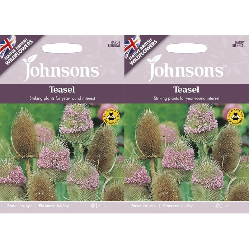 Johnsons 32813 Teasel Flower Seeds, Pink (Pack of 2)