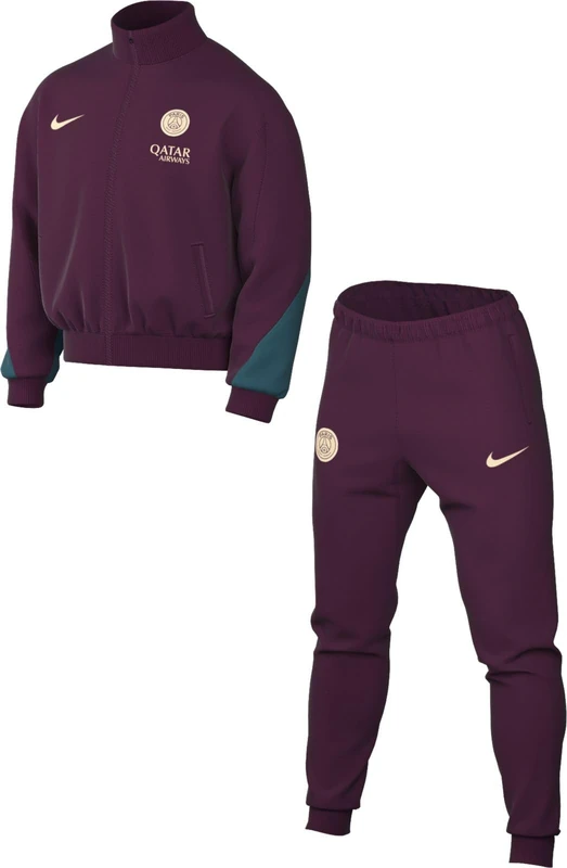 NIKE Men's Psg M Nk Df Strk Trk Suit K Tracksuit, Bordeaux/Geode Teal/Guava Ice, M EU