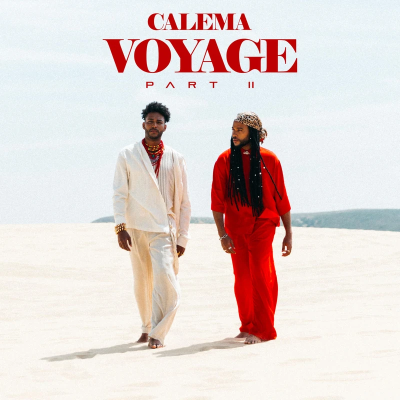 Voyage Part II [Vinyl LP] [VINYL]