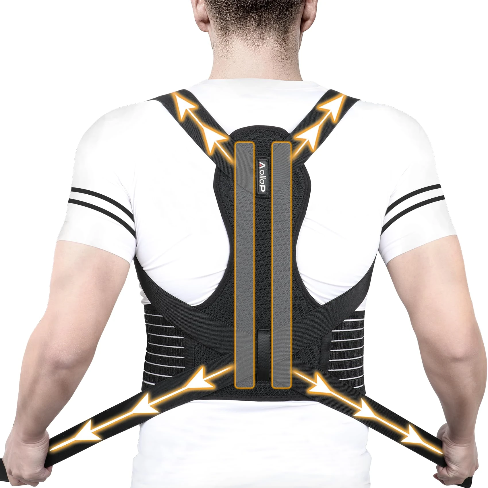 Aollop Posture Corrector Men and Women - Back Brace Back Support Belt with Breathable Adjustable Elastic Bands Back Straightener Improve Lumbar Support Belt Lower Back Pain Relief (L, Waist 48'-52')