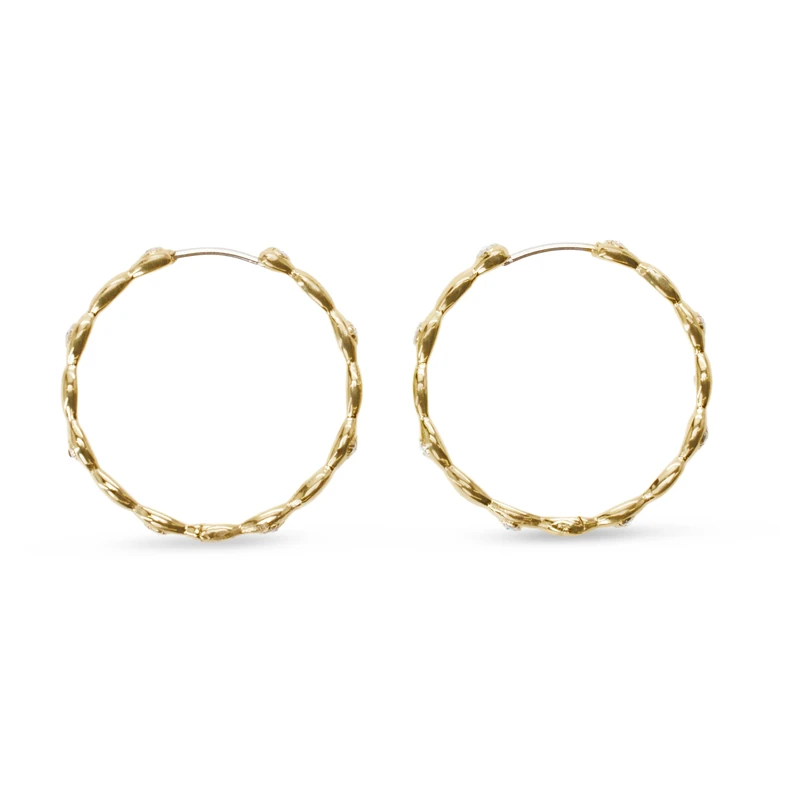 Fossil Women's Gold tone stainless Steel with hoop closure Earrings