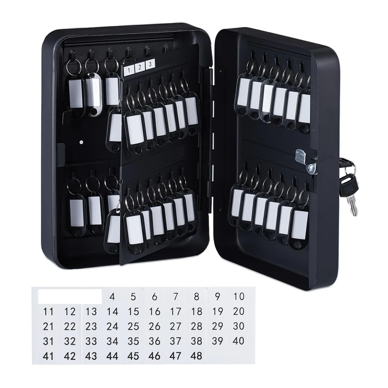 Relaxdays Lockable Key Box, Wall-Mounted Cabinet, 48 hooks, with Rings, HxWxD: 25 x 18 x 8 cm, Secure Safe, Black, Iron