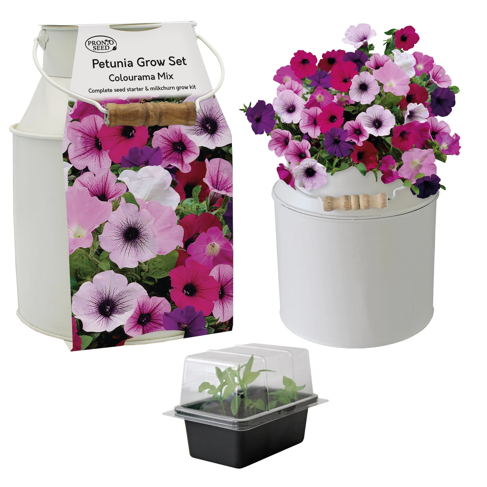 Pronto Seed Petunia Growing Kit with Decorative Milkchurn Planter - Complete Indoor Seed Starter Gift Set - Charming Garden Display Set for Sunny Windowsills (Petunia - Milk Churn Planter)