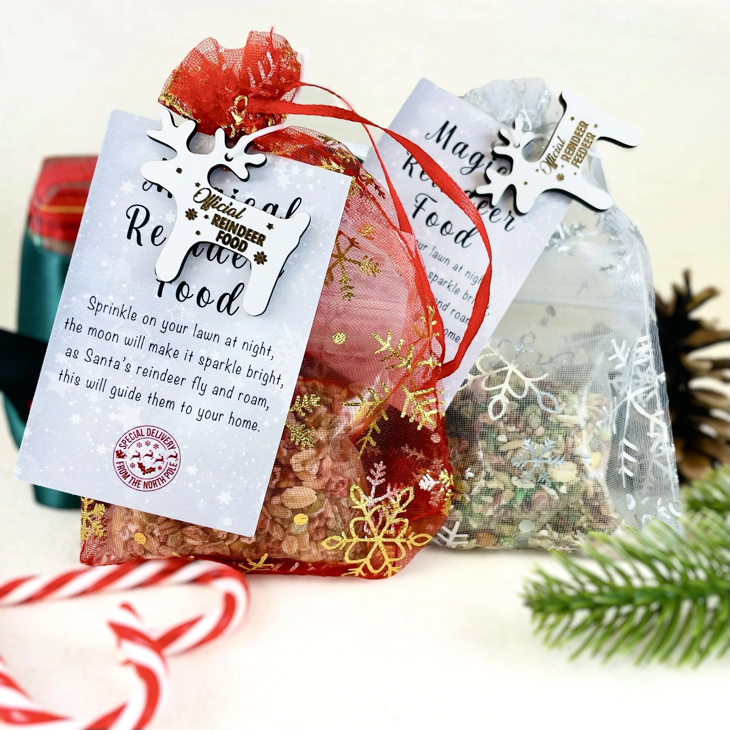 Fuzzy Cactus Magical Reindeer Food - Bag, Food & Charm - Father Christmas Eve Box Stocking Filler Magic Kids Tradition - Wildlife Friendly Bird Seed (Red Bag)
