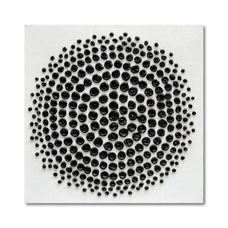Limiyer Art Hand painted black and white Abstract Texture Art Oil Painting Modern Art Canvas Wall Art Deco 24x24 inches