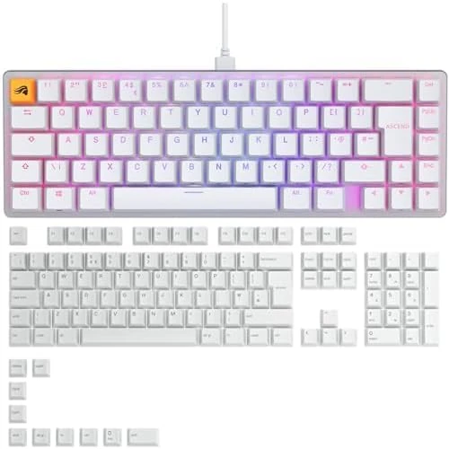 GLORIOUS Gaming GMMK 3 Custom Mechanical Gaming Keyboard with Knob, full size 100%, gasket system, doubleshot PBT keycaps, aluminum switch plate, hotswap 3 & 5 pole switches, French AZERTY, Black